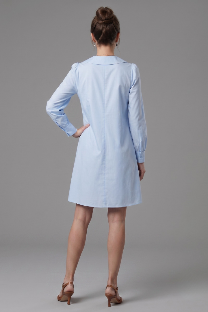 Opal | Button Front Collar Knee Length Dress