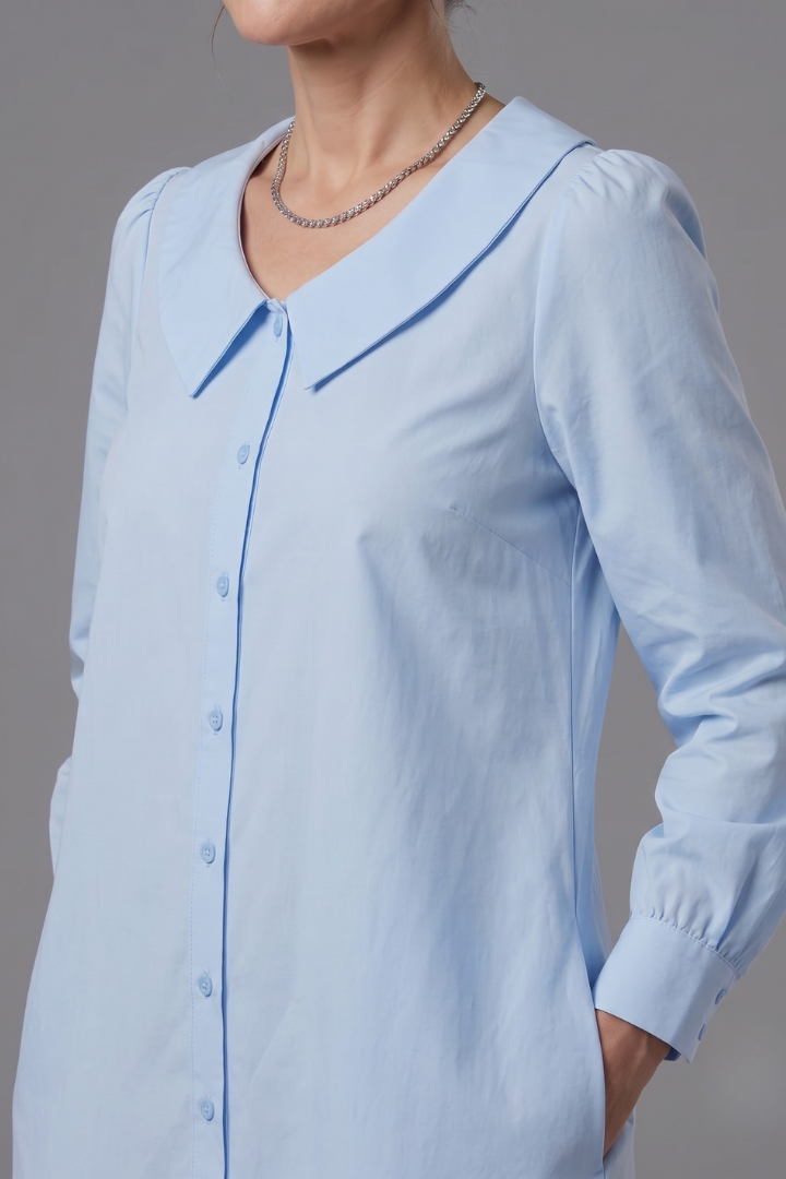 Opal | Button Front Collar Knee Length Dress